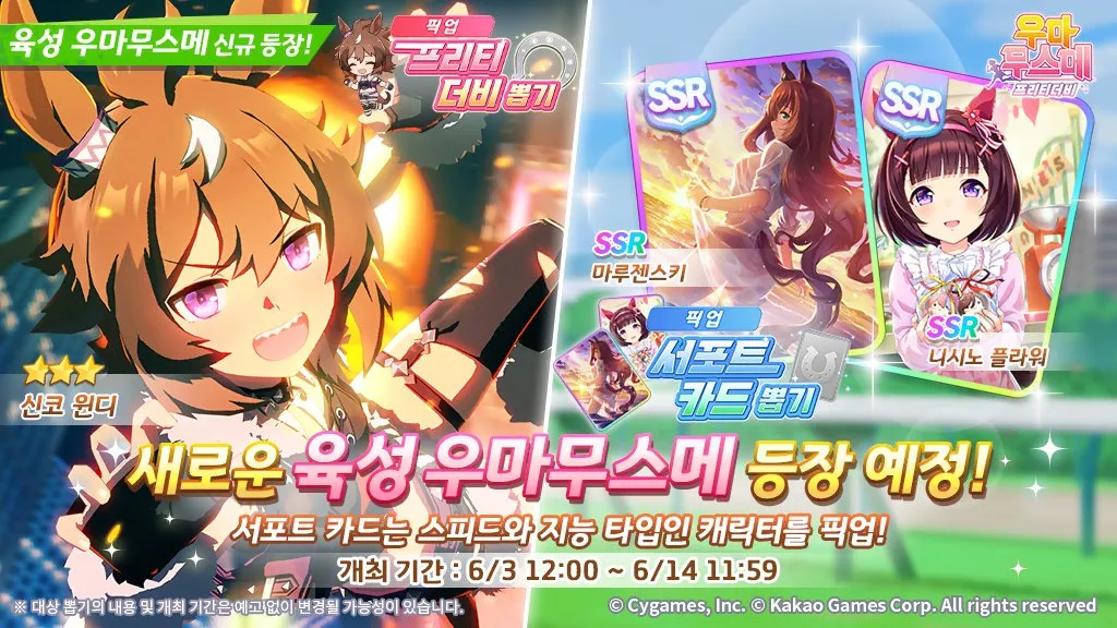 Shinko Windy banner