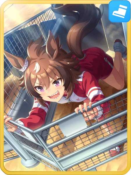 Shinko Windy